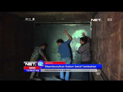 Kepolisian sektor Kalideres menyita 1,2 ton ganja kering selundupan dari Aceh - NET12