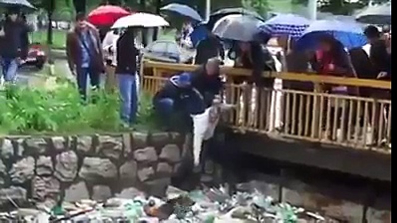 Gran gente...  la tierra fue creada para todos nosotros, no algunos de nosotros Ayuda a los animales y muestra tu amor p