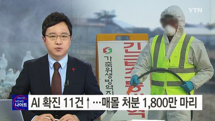 AI 확진 11건 늘어...매몰 처분 1,800만 마리 육박 / YTN (Yes! Top News)
