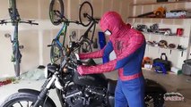 Spiderman vs Black Spiderman & Godzilla / T-Rex - Motorcycle Thief | Real Life Superhero Movie!