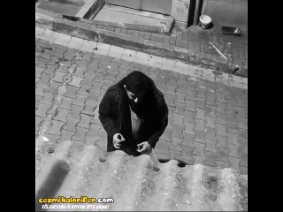 Alkolün Verdiği Yetkiye Dayanarak Sokak Köpeğiyle Felsefe Yapan Adam