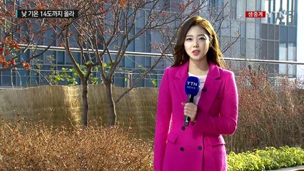 [날씨] 봄 같은 겨울 날씨...내일도 눈 대신 비 / YTN (Yes! Top News)