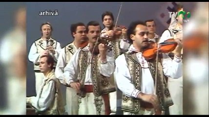 Ion Dolanescu - Calatorule din drum