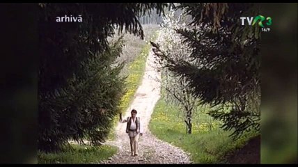 Ion Dolanescu - Ma uitai spre Persinari - fragment