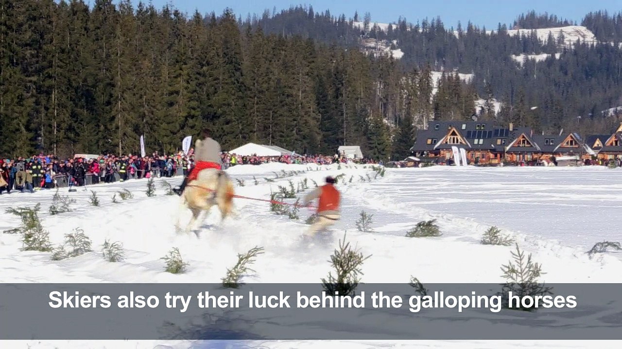 Horse-drawn ski races live on in Poland's Tatra mountains