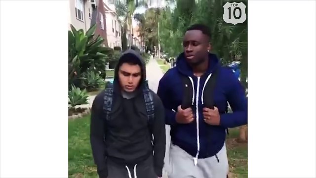 Топ 10 приколов: про смешных собак