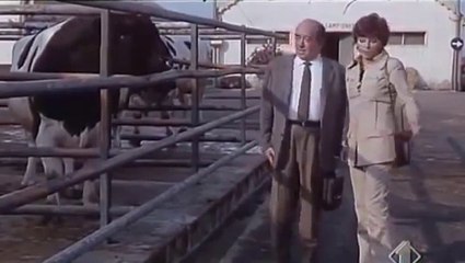 La prima notte del dottor Danieli - 2T