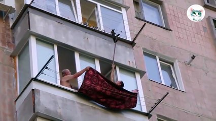 Новые приколы про животных