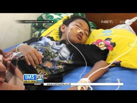 Kejadian luar biasa penyakit demam berdarah mewabah di Kabupaten Jombang - IMS