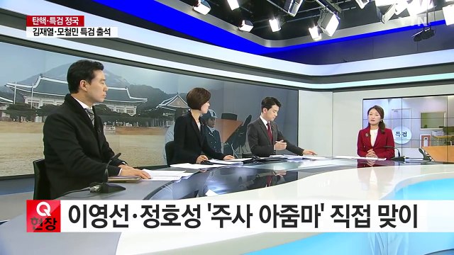 '주사 아줌마' 등장...박 대통령 '비선 의료' 또 있나 / YTN (Yes! Top News)