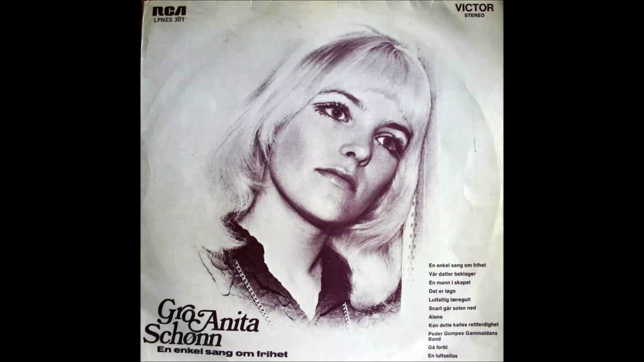 Gro Anita Schønn: Snart går solen ned.