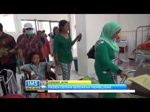 Jumlah Pasien DBD Terus Bertambah, PMI Kabupaten Sumenep Krisis Stok Darah - IMS