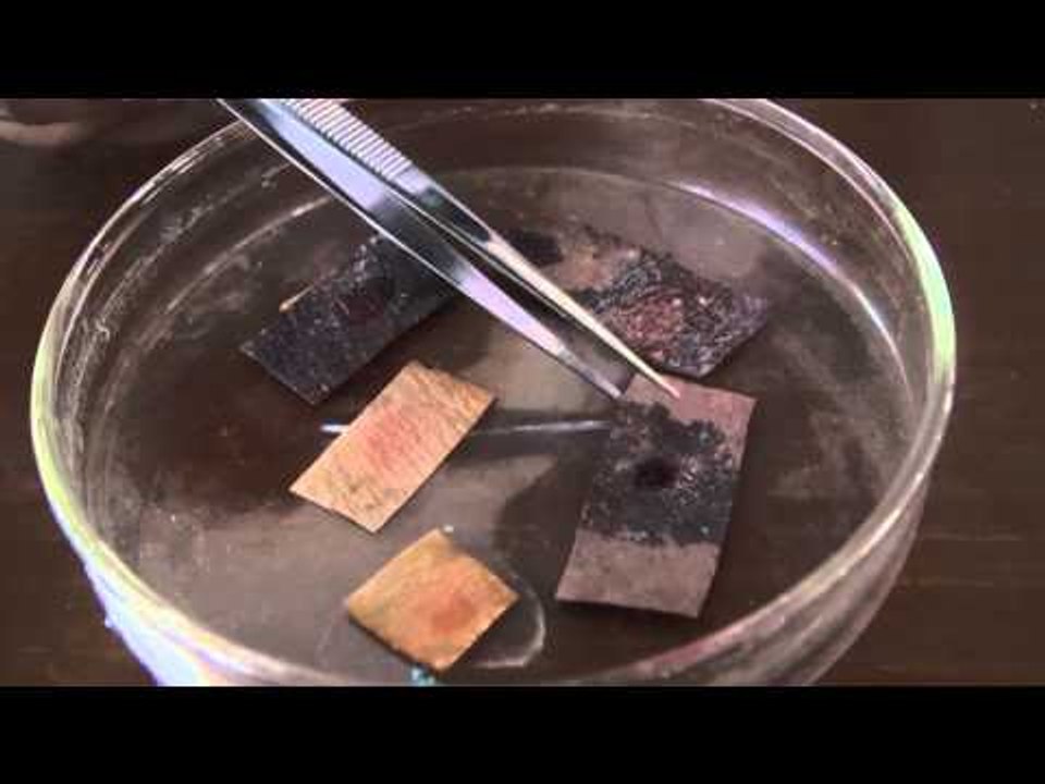 Cairan dari bunga sepatu sebagai indikator deteksi formalin pada makanan - NET12