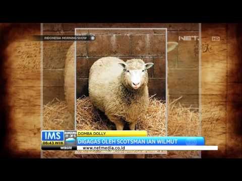 Todays History 22 Februari 1997 Domba Dolly Diperkenalkan ke Publik IMS
