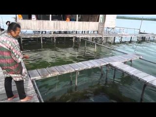 Rumah makan dan penginapan terapung di Ambon - NET12