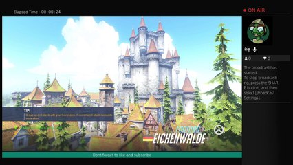 Overwatch Road to Level 100 (3)