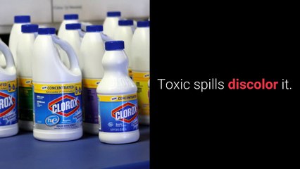 Fairfield carpet repair