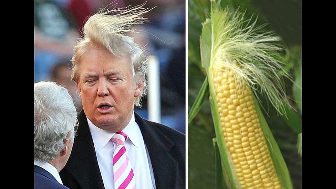 Donald Trump Funny Faces Video Dailymotion