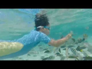 Polah Bocah Adventure - NET5