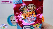 Disney Frozen Play Doh Surprise Cans MLP Shopkins Toys Shopkins Surprise Egg and Toy Collector SETC
