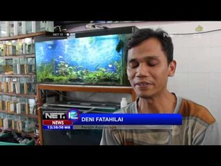 Kerajinan Seni Unik Aquascape - NET12