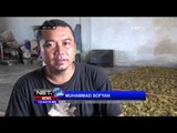 Keripik Pare Oleh Oleh Khas Kudus Tembus Pasar Luar Jawa - NET12