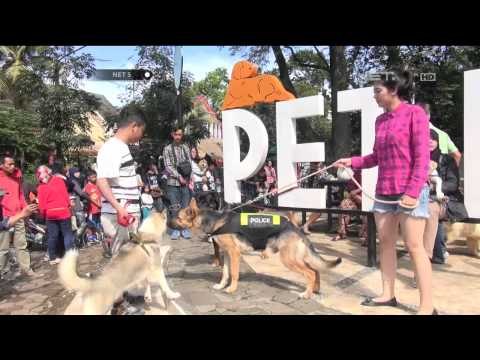 Taman Satwa Berfasilitas Lengkap di Bandung - NET5