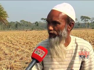 বরগুনার ৩৩ কেভি বিদ্যুৎ লাইন সংস্কারে ব্যাপক অনিয়ম