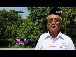 Petani belimbing Blitar membuat lubang biopori di lahan bertani - NET12