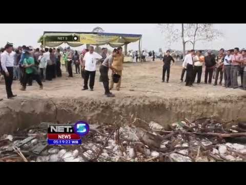 Pemusnahan 5 Ton Trenggiling di Medan - NET5