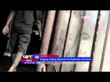 Penelusuran Pedagang Daging Anjing di Jakarta - NET16