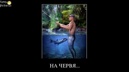 Приколы Лучшие Демотиваторы