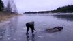 Il sauve un élan coincé dans un lac gelé !