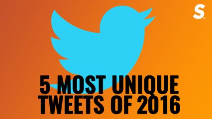 Craziness Redefined | 5 Most Unique Tweets of 2016