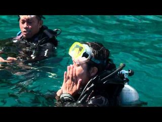 What To Do Diving di Ambon - NET24