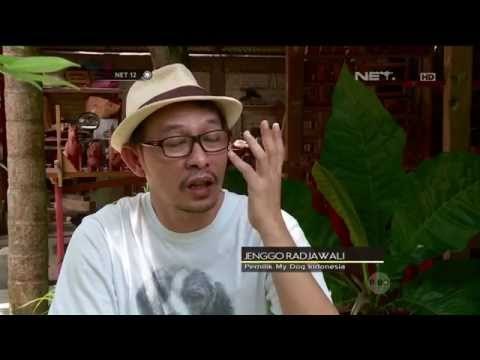 Bisnis Pernak Pernik Bertema Anjing - NET12