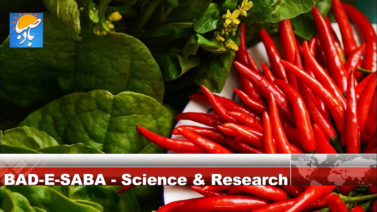 Good News For Eating Hot Red Chili Peppers Lovers Live Longer Life