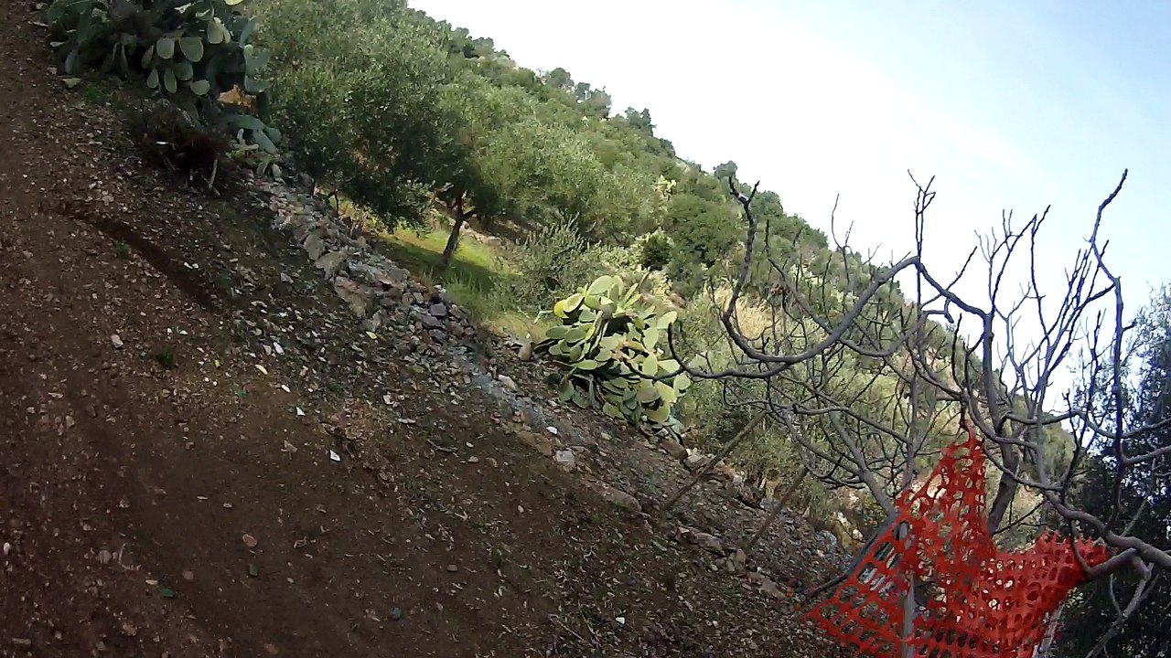 Trayl Mtb (2) del 4.2.2017
