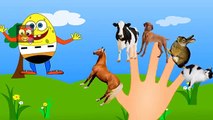 Finger Family Nursery Rhymes | Animal Finger Family Songs Collection | Learn Pet Animals | Kids