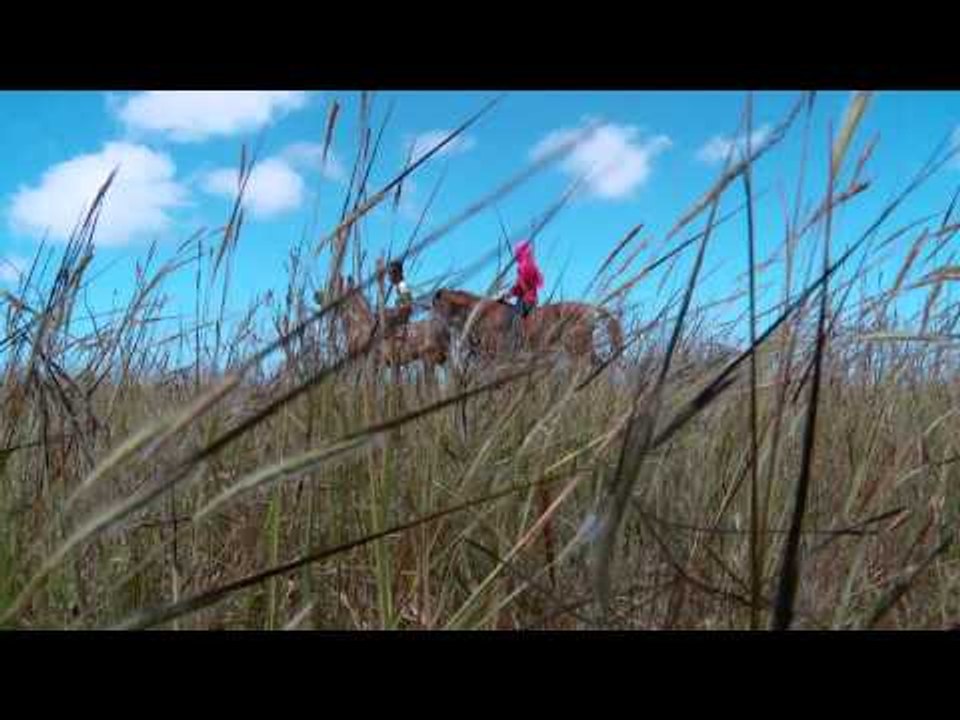 Surga Liburan di Padang Rumput Sumba Timur, Nusa Tenggara Timur NET12