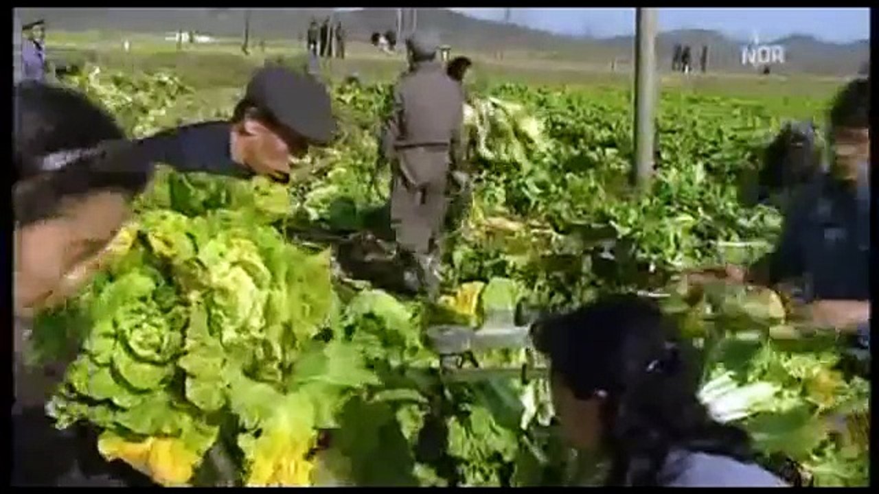 선전선동으로 이루워지는 북한주민들의 실생활모습은?