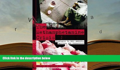 PDF  The Methamphetamine Crisis: Strategies to Save Addicts, Families, and Communities Full Book