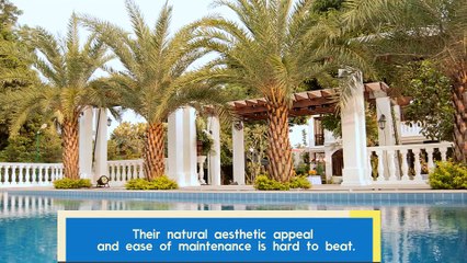 Beat the heat with your own home pool