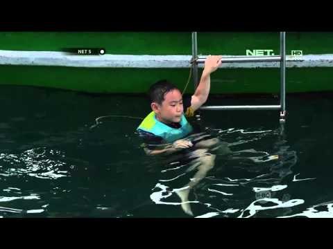 Konservasi Terumbu Karang Taman Laut Kepulauan Seribu - NET5