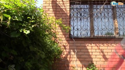 Spiderman vs Frozen Elsa - MEGA BAD BABY - Disney Princess - Joker, Hulk, Batman, Superman