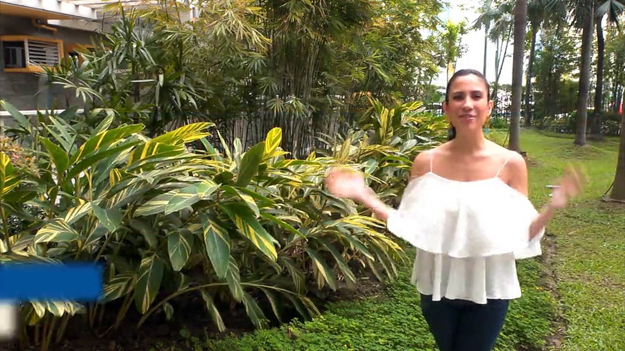 Getting proper nutrition for your beach body