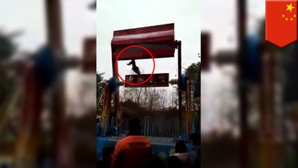 Teenage girl thrown to her death in Chinese theme park accident