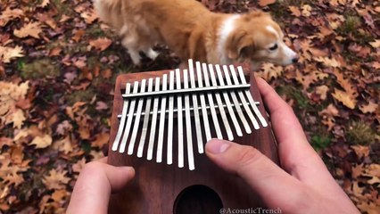 Jouer "All the small things" sur un petit instrument... Magique - Reprise Blink 182