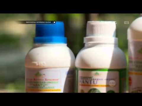 Kisah Inspiratif Pengusaha Argobisnis Pertanian - IMS