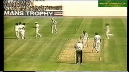Imran Khan's famous 6_14 vs India Sharjah 1985